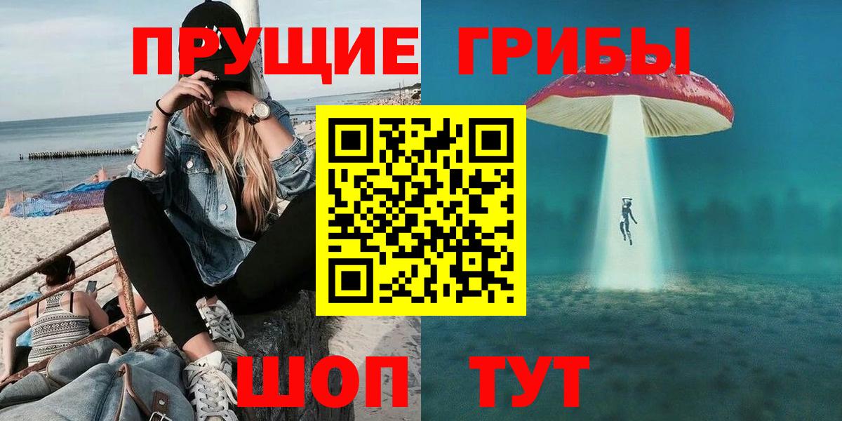 Сергиев Посад  Галлюциногенные грибы GOLDEN TEACHER  Вход с VPN 