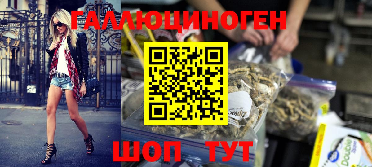 Псилоцибиновые грибы Psilocybe Сергиев Посад
